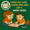 đề thi khảo sát chất lượng đầu năm lớp 2 môn Toán Cánh diều