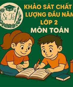 đề thi khảo sát chất lượng đầu năm lớp 2 môn Toán Cánh diều