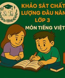 đề thi khảo sát chất lượng đầu năm lớp 3 môn Tiếng Việt Chân trời sáng tạo