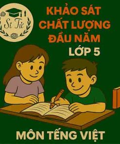 đề thi khảo sát chất lượng đầu năm lớp 5 môn Tiếng Việt Chân trời sáng tạo