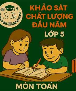 đề thi khảo sát chất lượng đầu năm lớp 5 môn Toán Cánh diều