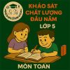 đề thi khảo sát chất lượng đầu năm lớp 5 môn Toán Chân trời sáng tạo