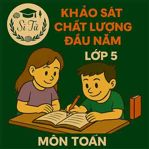 đề thi khảo sát chất lượng đầu năm lớp 5 môn Toán Chân trời sáng tạo