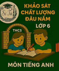 đề thi khảo sát chất lượng đầu năm lớp 6 môn Tiếng Anh hệ Cambridge
