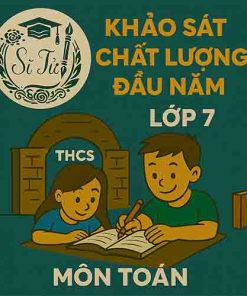 đề thi khảo sát chất lượng đầu năm lớp 7 môn Toán Chân trời sáng tạo