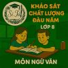 đề thi khảo sát chất lượng đầu năm lớp 8 môn Ngữ văn Chân trời sáng tạo