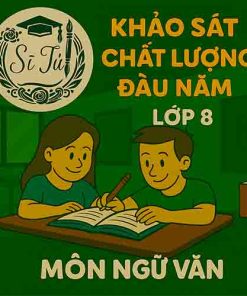 đề thi khảo sát chất lượng đầu năm lớp 8 môn Ngữ văn Kết nối tri thức
