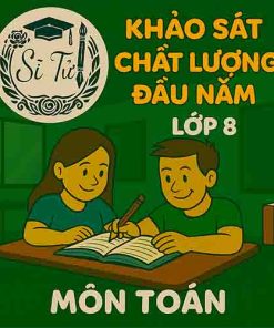 Đề thi khảo sát chất lượng đầu năm lớp 8 môn Toán