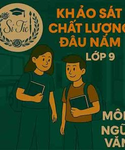 đề thi khảo sát chất lượng đầu năm lớp 9 môn Ngữ văn Cánh diều
