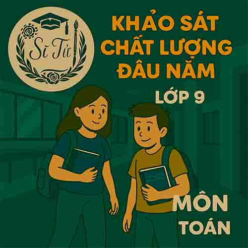 đề thi khảo sát chất lượng đầu năm lớp 9 môn Toán Cánh diều